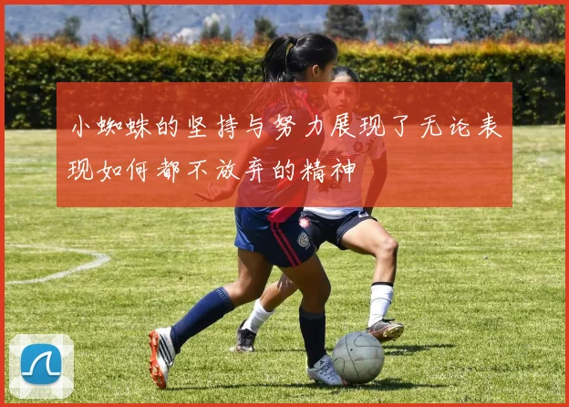 小蜘蛛的坚持与努力展现了无论表现如何都不放弃的精神