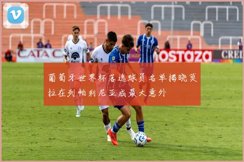 葡萄牙世界杯落选球员名单揭晓莫拉在列帕利尼亚成最大意外